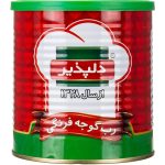 رب گوجه‌فرنگی 800گرمی دلپذیر
